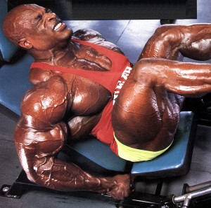 IronMag™ Bodybuilding amp; Fitness Portal  Bodybuilding Science 