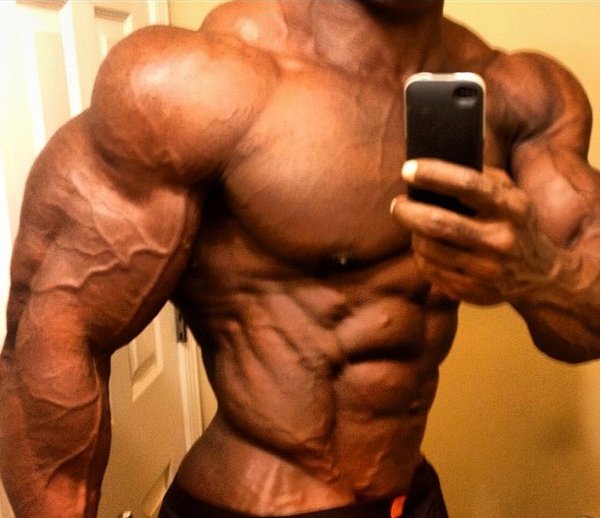 Shredded-and-Jacked