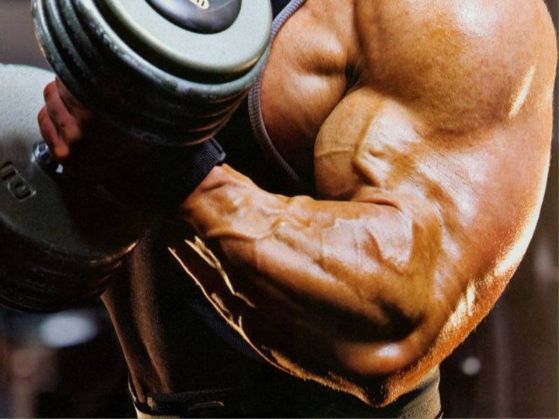 The 5-Minute Guide to Picking a Training Program