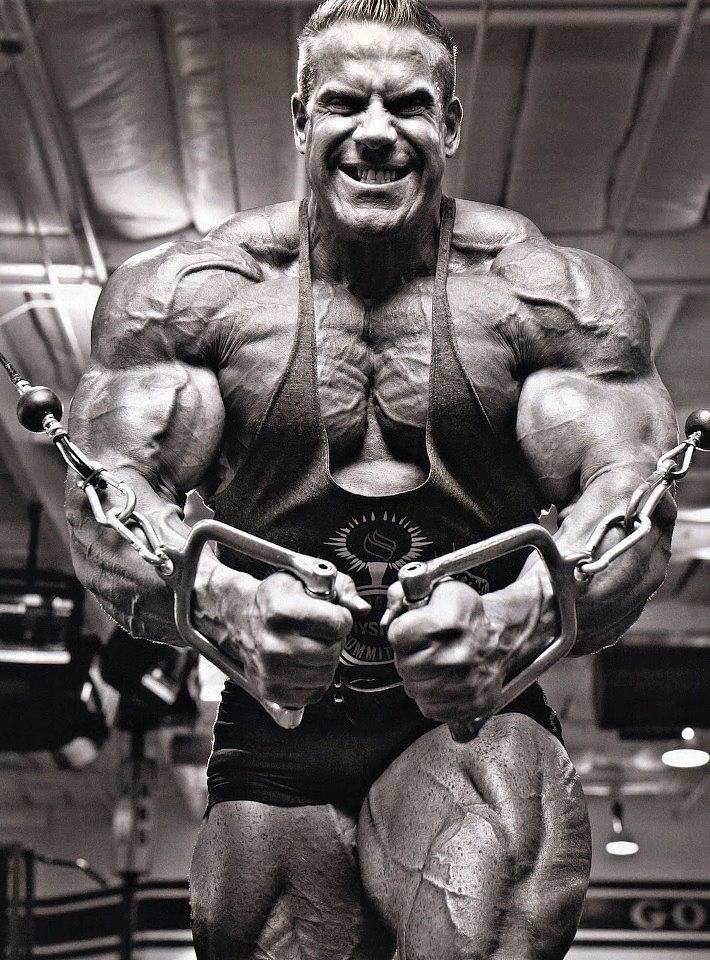 Anabolic Steroid Cycles of Pro Bodybuilders Anabolic Steroid Cycles of Pro Bodybuilders