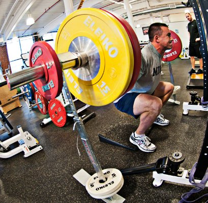 Tropical Blueberries Extremely High in Healthful Antioxidants Tropical Blueberries Extremely High in Healthful Antioxidants