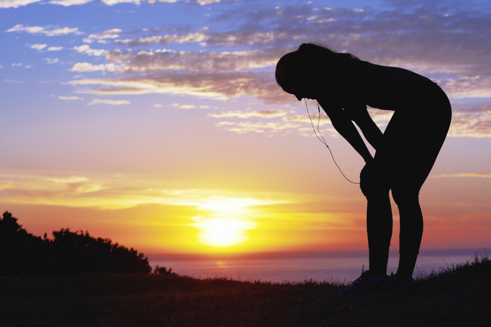 Amazing milk thistle may also curb lung cancer Amazing milk thistle may also curb lung cancer