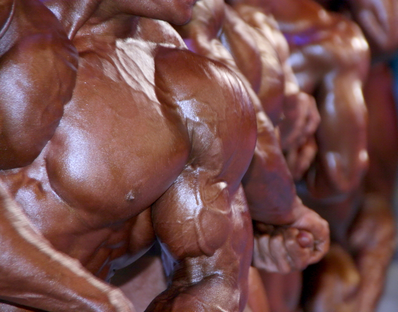 What Causes Us To Become Bodybuilders?