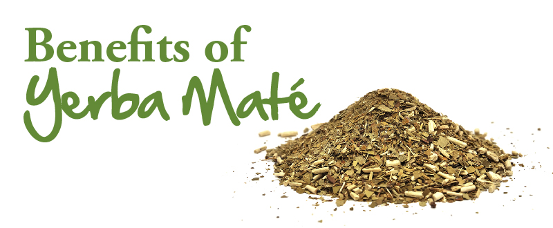 Yerba Mate: The Ancient Health Secret