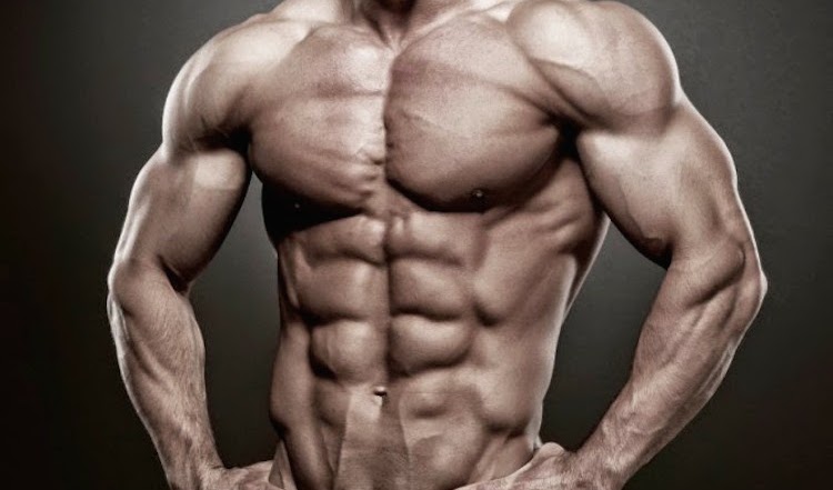 How to Use Fat Loss Drugs without Compromising Muscle Gains Part 1