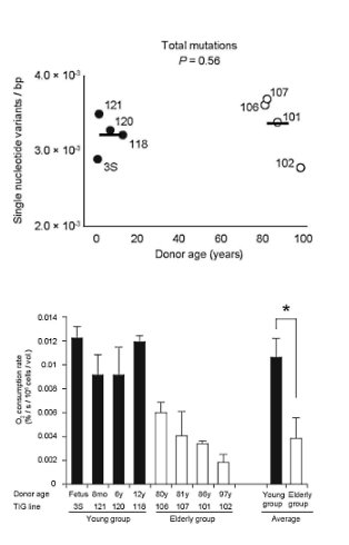 Testosterone therapy can increase chance of heart attack Testosterone therapy can increase chance of heart attack