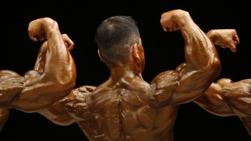 Should Non-Bodybuilders Be Able to Critique Bodybuilders? Should Non-Bodybuilders Be Able to Critique Bodybuilders?