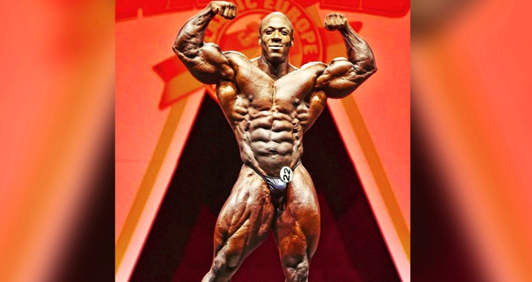 Flexatron – The Champion’s In the House Flexatron – The Champion’s In the House