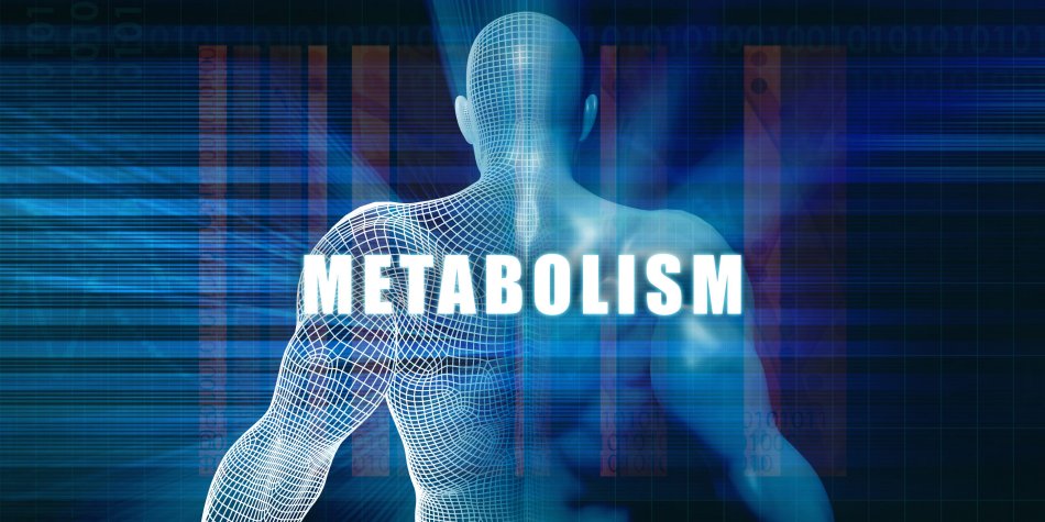 Metabolism Mayhem