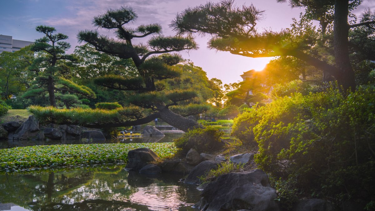 Forest-Bathing-Shinrin-Yoku-Provide-Health-Benefits