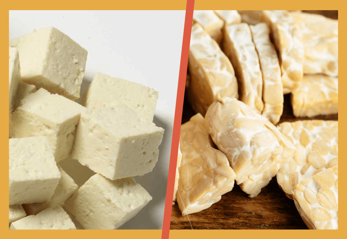 Tempeh vs Tofu vs Seitan What are the Main Differences? IronMag
