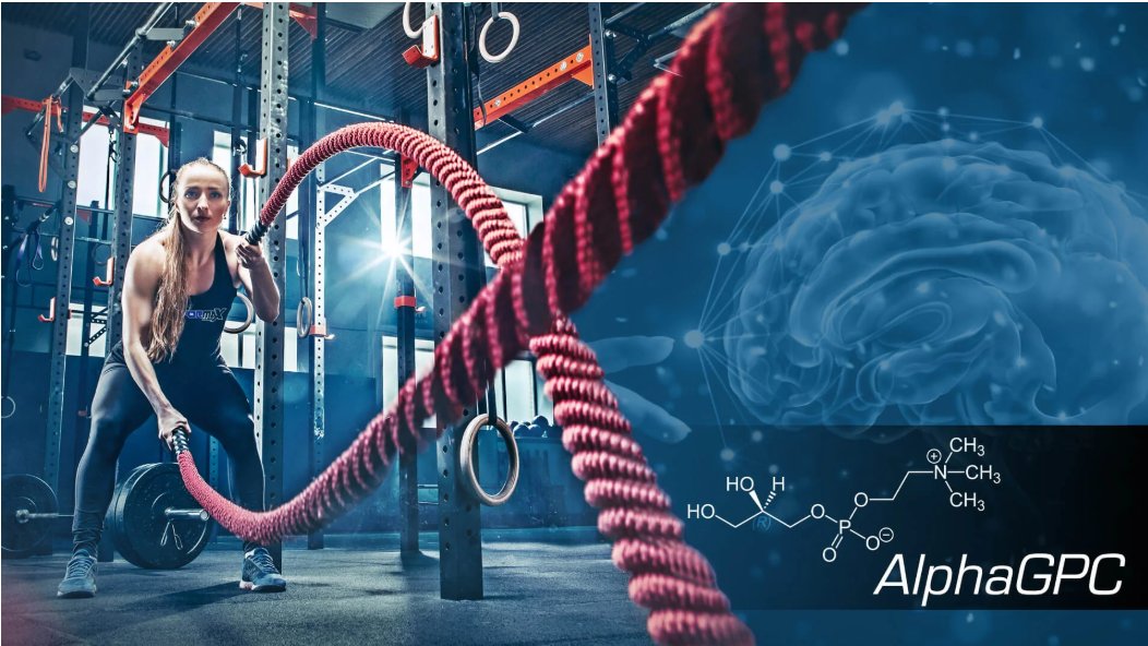 alpha-gpc