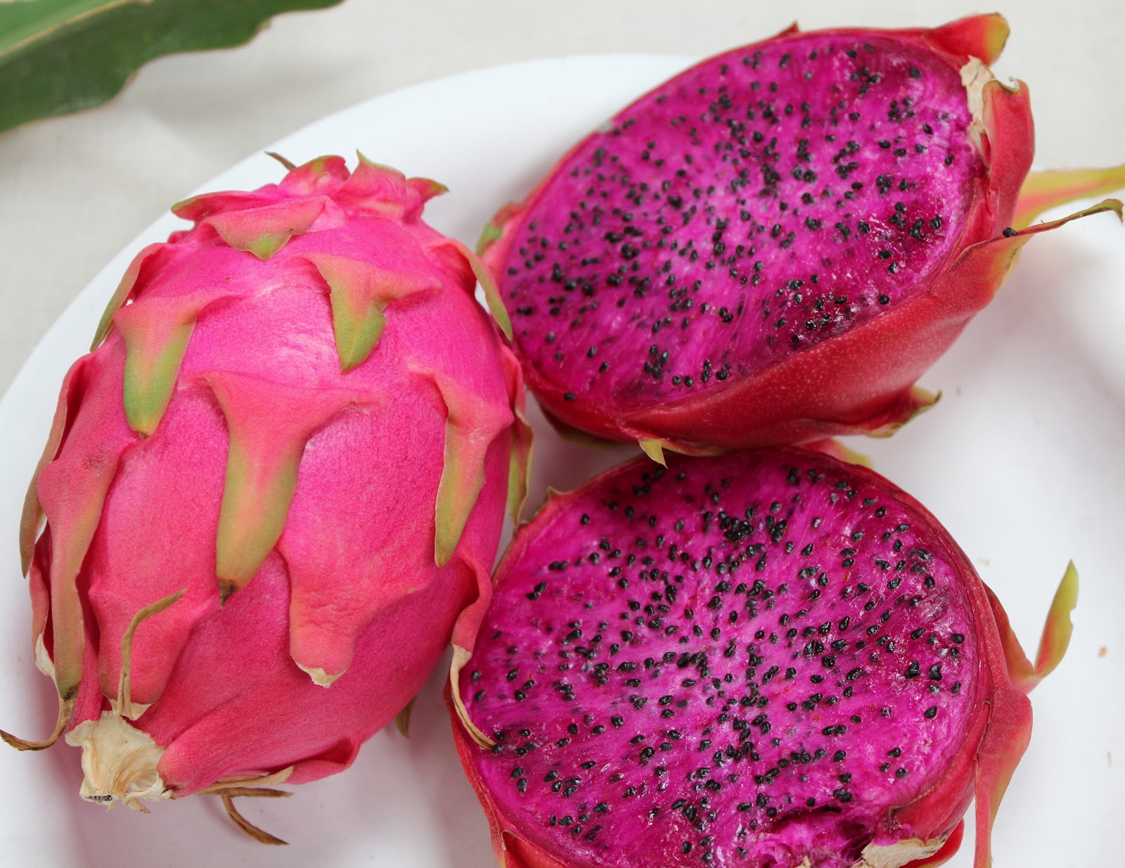 Dragon-Fruit
