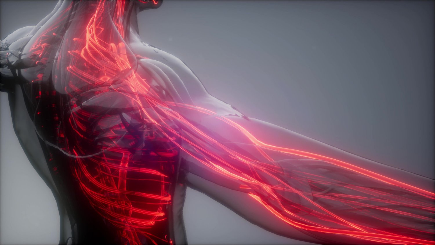 What Are Quick-Twitch Muscle Fibers? – IronMag Bodybuilding & Health Weblog