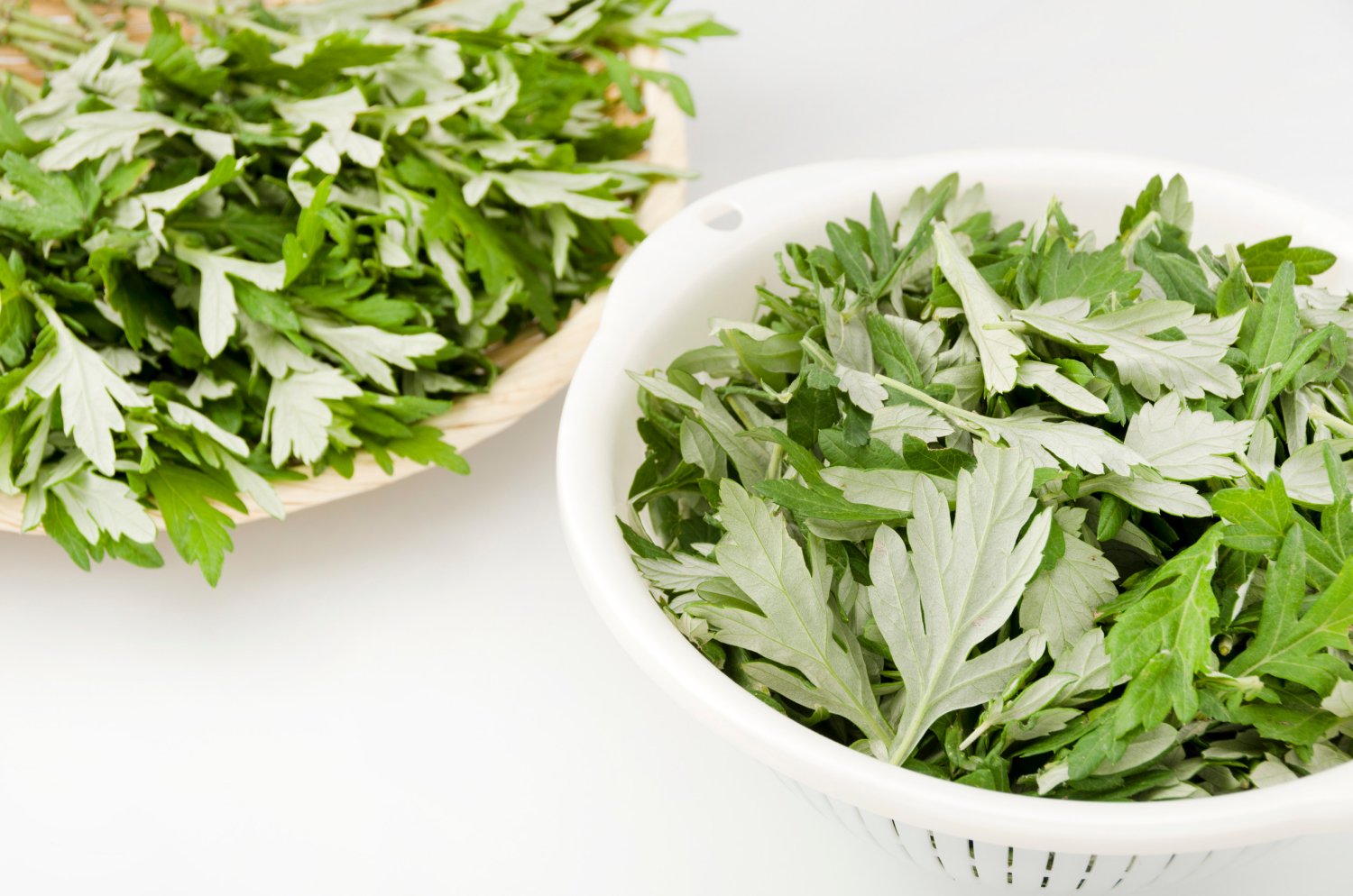 5 Unusual Health Benefits of Wormwood