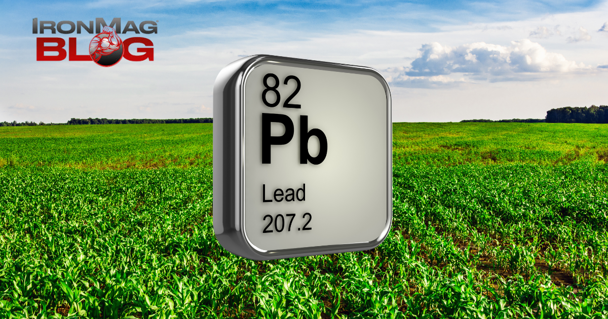 How Much Lead Is in Your Diet?