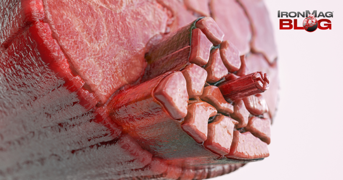 How to Effectively Turn on mTOR