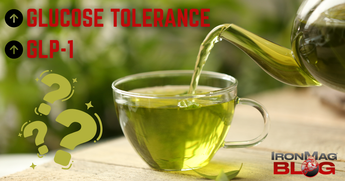 Can Green Tea Increase Glucose Tolerance & GLP-1?